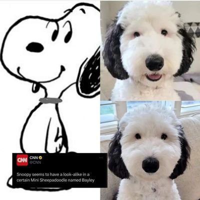 ArturoD44842557's profile picture. Agradecido a Dios por su amor.