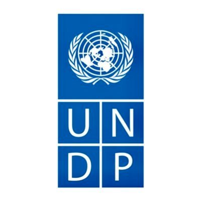 undpmalawi Profile Picture