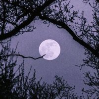 Igohax (@igohaxjn) 's Twitter Profile Photo