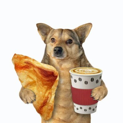 saturatedfats_'s profile picture. all i know is Love Live, Gears of War, and RPGs