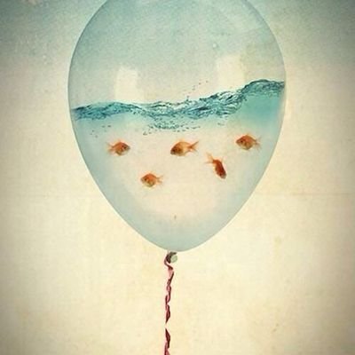 KOWegWijzer's profile picture. 