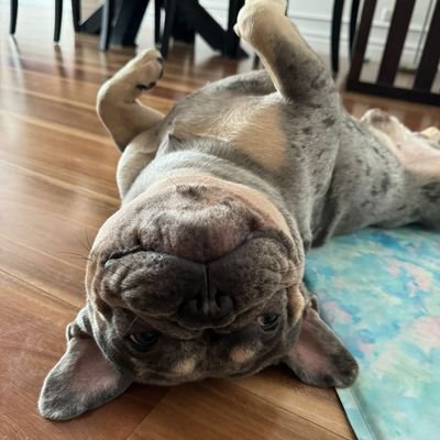 mtd69420's profile picture. 11:11