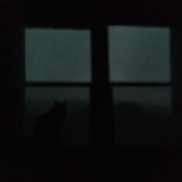 Kyle Dicki (@kyle_dicki43591) 's Twitter Profile