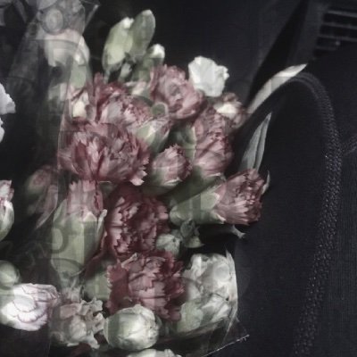 Beatricebo29142's profile picture. 