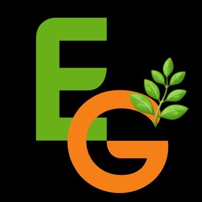 ElectriGravity's profile picture. @Bloggersweb3 Decentralized Foundation 

⚡#EG will #produce #electricity from the #GRAVITY of the #Earth and Magnetic field .
Jan 27,2023⚡