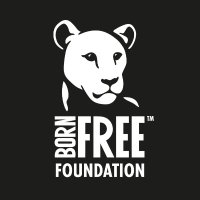 Born Free Foundation Kenya(@BornFreeKenya) 's Twitter Profileg