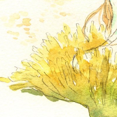 香椎さんのプロフィール画像