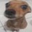 pdrmlo's profile image