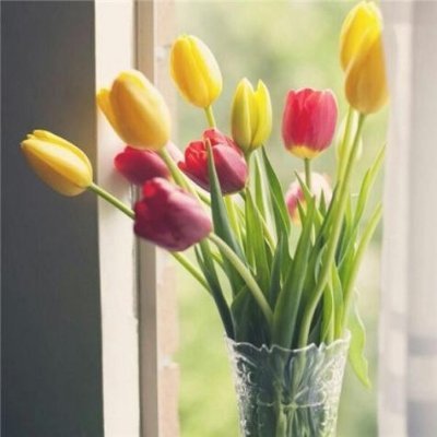 ClarkNehemiahdc's profile picture. 