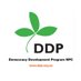 Democracy Development Program (@DDPdemocracy) Twitter profile photo