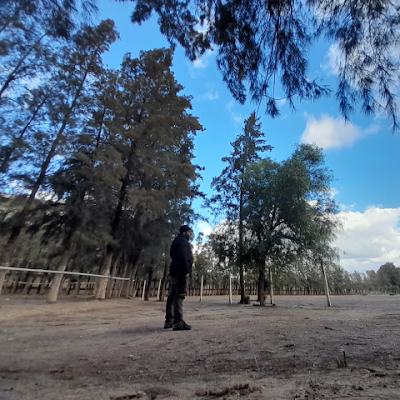 djedreza's profile picture. 