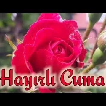 sadece cuma günleri yayındayız