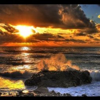 DasBaisakh76888's profile picture. 