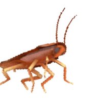 Bugs Bot (@bugswthnamesbot) 's Twitter Profile