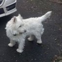 Terry McQuade - @McquadeTer43054 - Twitter