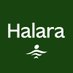 Halara (@thehalara) Twitter profile photo Halara (@thehalara) Twitter profile photo