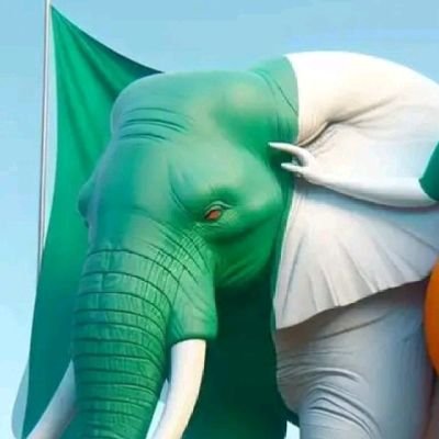 LYSE467038's profile picture. 