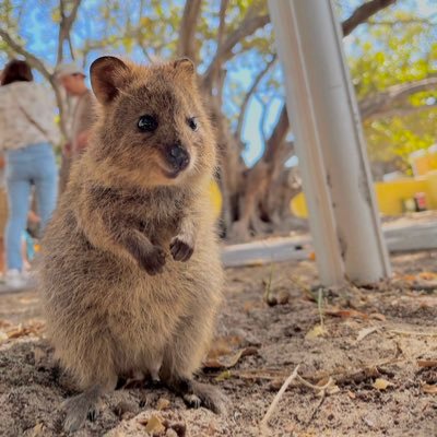 mmiissaa14's profile picture. 