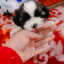 Ashu Varma - @ashu_varma37240 - Twitter