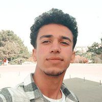 Feyzullah As (@feyzullahass) 's Twitter Profile