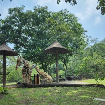 astipoejie's profile picture. 