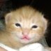 baby (@2bevvies) Twitter profile photo baby (@2bevvies) Twitter profile photo