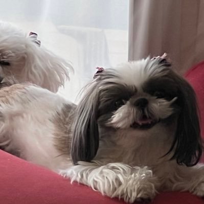 songland0624's profile picture. 