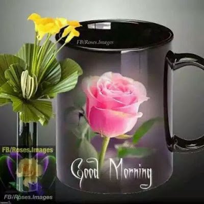 Promninja's profile picture. Social Media Marketer | FX & Crypto Trader | Amplifying brands & decoding markets in the decentralized revolution! #Web3 Forex Trading #Crypto