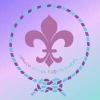 GS Marwan 690 (@gscoutmarwan) 's Twitter Profile Photo