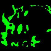 AfflictionG18's profile picture. 