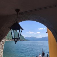 Rosalba Acquaviva (@acquja) 's Twitter Profile Photo