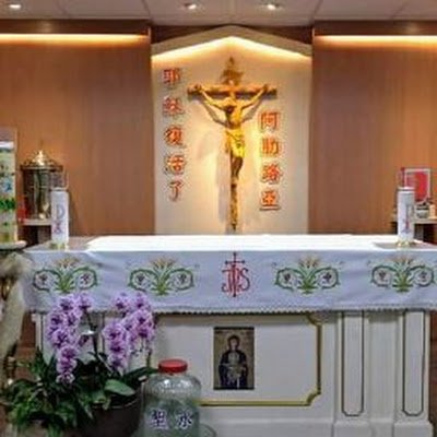 LiNong10033's profile picture. 