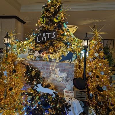 007007jb's profile picture. 映画と連ドラ好きな男性。最近始めたコロプラの影響で、ぶらり旅が多くなりました。