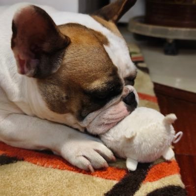 aixiangru175289's profile picture. 