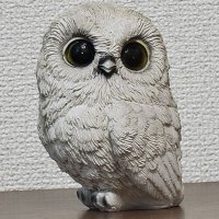 ゆう (@tmdnvl7584n8lrs) 's Twitter Profile Photo ゆう (@tmdnvl7584n8lrs) 's Twitter Profile Photo