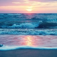 Thaddeus Doyle (@doylethadd54568) 's Twitter Profile