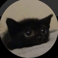 Buse36 (@36wimo) 's Twitter Profile