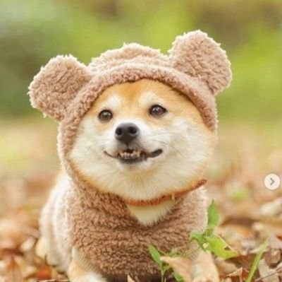 kazawa1878's profile picture. 