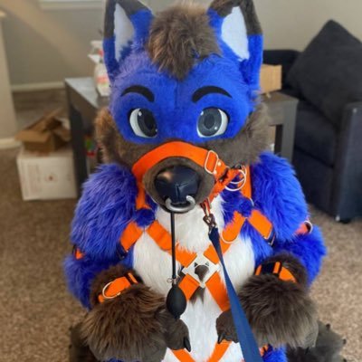🔞 | 26 | Spicy side of @UmbraWolf | Plush and locks make everything better~ | 💙@FauxilFoxAD | No Age/No PFP/Blank Profile = Block