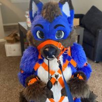 Umbra, but Horny (@ad_umbra) 's Twitter Profile
