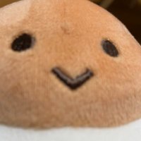 Okashinagohan (@okashinagohan) 's Twitter Profile