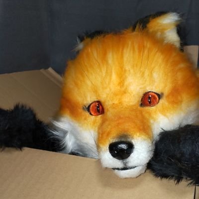 Chii吉さんのプロフィール画像