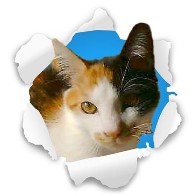 テキスト　８８さんのプロフィール画像