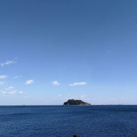 からあげさん (@wakuwakudobutsu) 's Twitter Profile