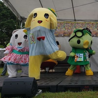 きのこりん🍄さんのプロフィール画像