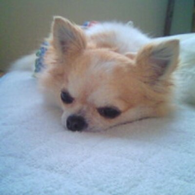 nge_maiko_larc's profile picture. 高校生サッカー好き男子の母。グランパスサポ親子。最近ジュビロ兼任/L'Arc~en~Ciel歴25年↑/ゴール裏/鬼滅の刃(風柱兄弟＆霞柱推し)/キングダム/約ネバ/ポケモン/ポケスリ/スポーツ観戦/ゲーム/FF/サガ/ドラクエ/フットサル始めました/無言フォロー失礼します/フォローお気軽に♪