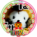 ããã£ãº (@kurumi_1008) Twitter profile photo ããã£ãº (@kurumi_1008) Twitter profile photo