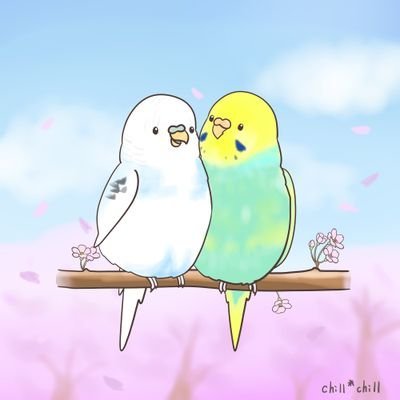 2019,6,16 お迎えの
セキセイインコ(レインボー)のコロン、女の子のしもべです✨
天国支部のセキセイインコ ポン君 ポロさんのことも時々つぶやいたりします
無言フォローや誤字脱字、失礼いたします