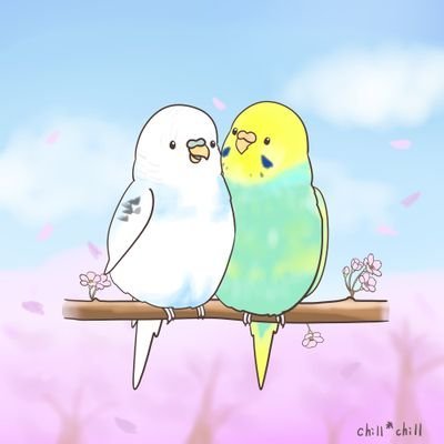 2019,6,16 お迎えの
セキセイインコ(レインボー)のコロン、女の子のしもべです✨

天国支部のセキセイインコ　ポン君　ポロさんのことも時々つぶやいたりします

無言フォローや誤字脱字、失礼いたします