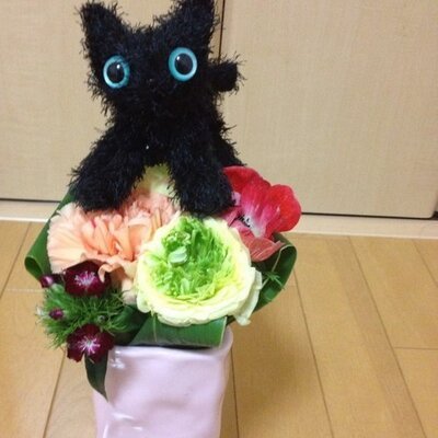 nekozuki77777's profile picture. 猫&日常アカです。